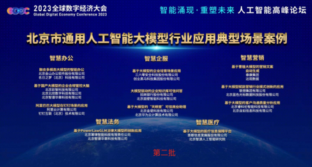 大模型变“小”亦能“大”有作为 黑马天启以“重度垂直”新思路，入选北京大模型行业应用典型案例